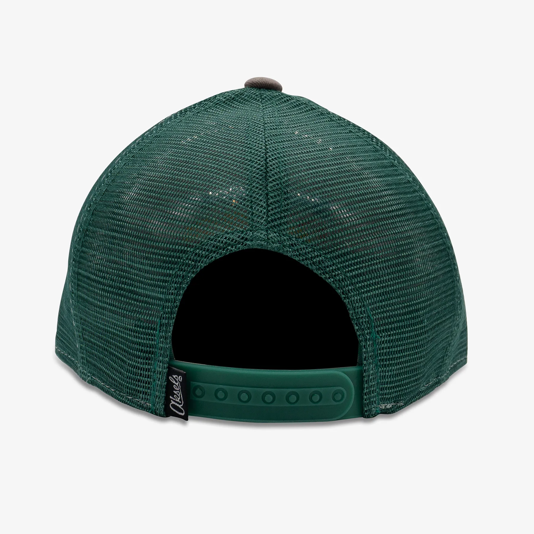 Low Pro Colorado Scape Snapback Hat