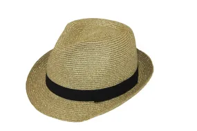 Metallic Fedora Hat